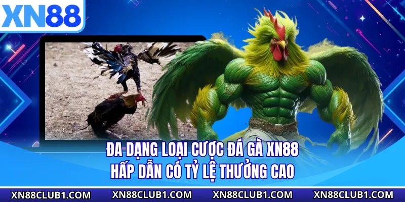 Đa dạng loại cược đá gà XN88 hấp dẫn có tỷ lệ thưởng cao
